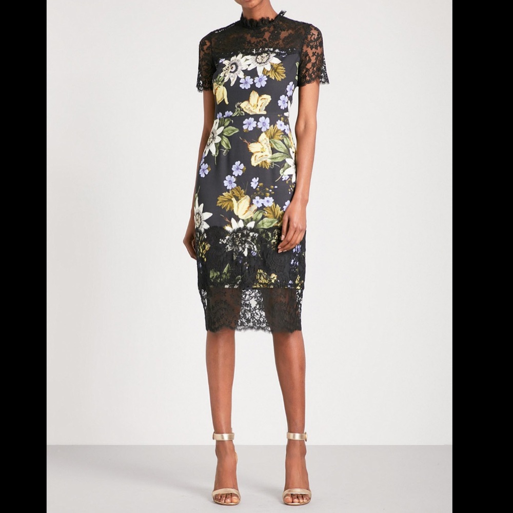 🔥 HP 🔥 Erdem Keni Floral Lace And Cady Dress